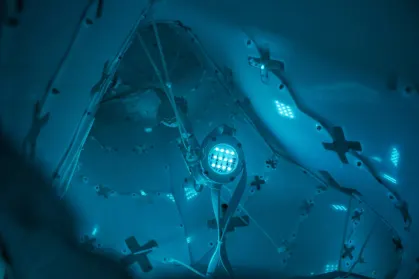 ZodiacBet Casino App Mobile